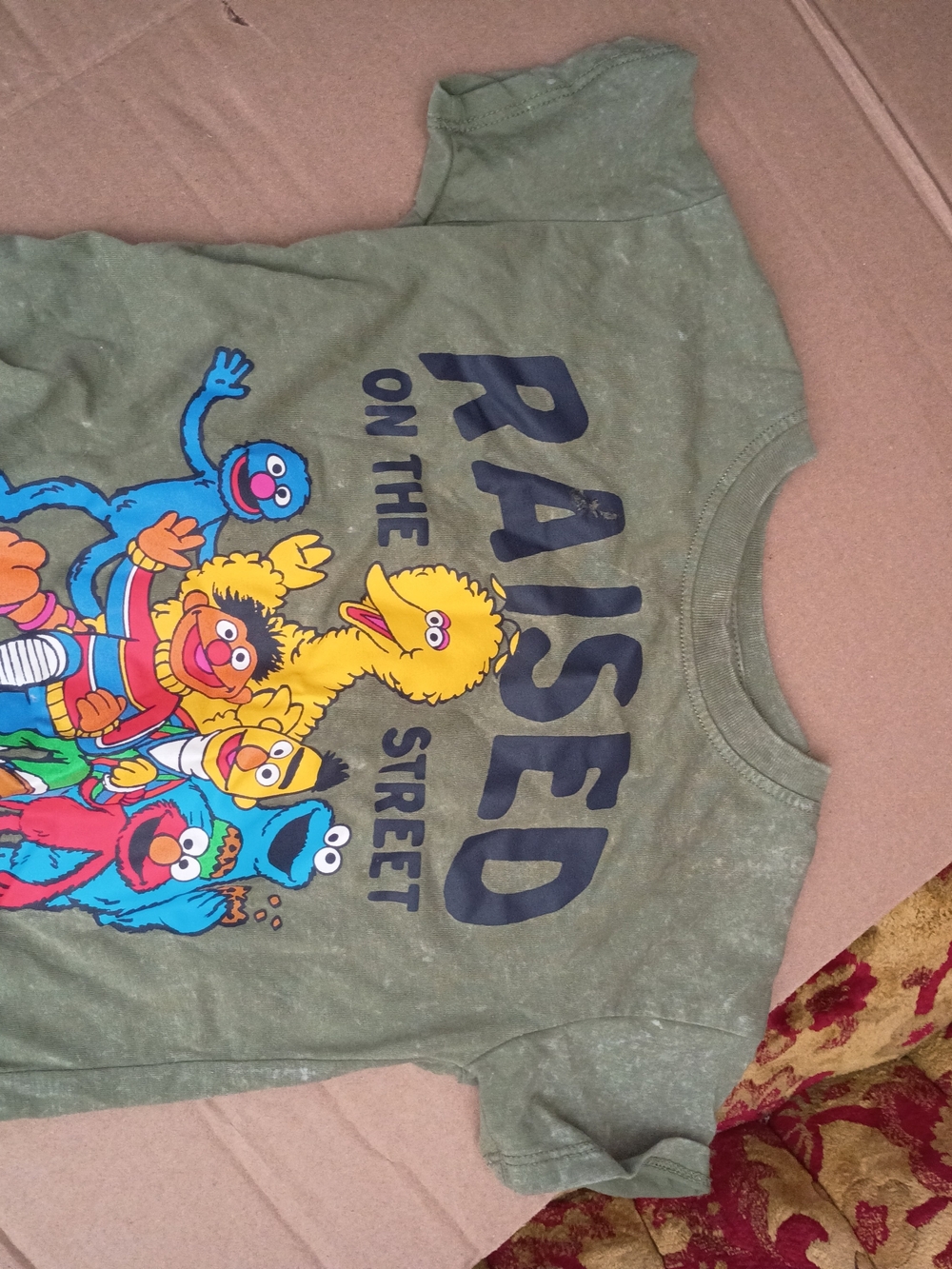 Sesame Street Olive Green Kids Graphic Tee with Multi-Color Characters